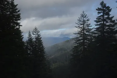 DSC_0866 (Large).JPG